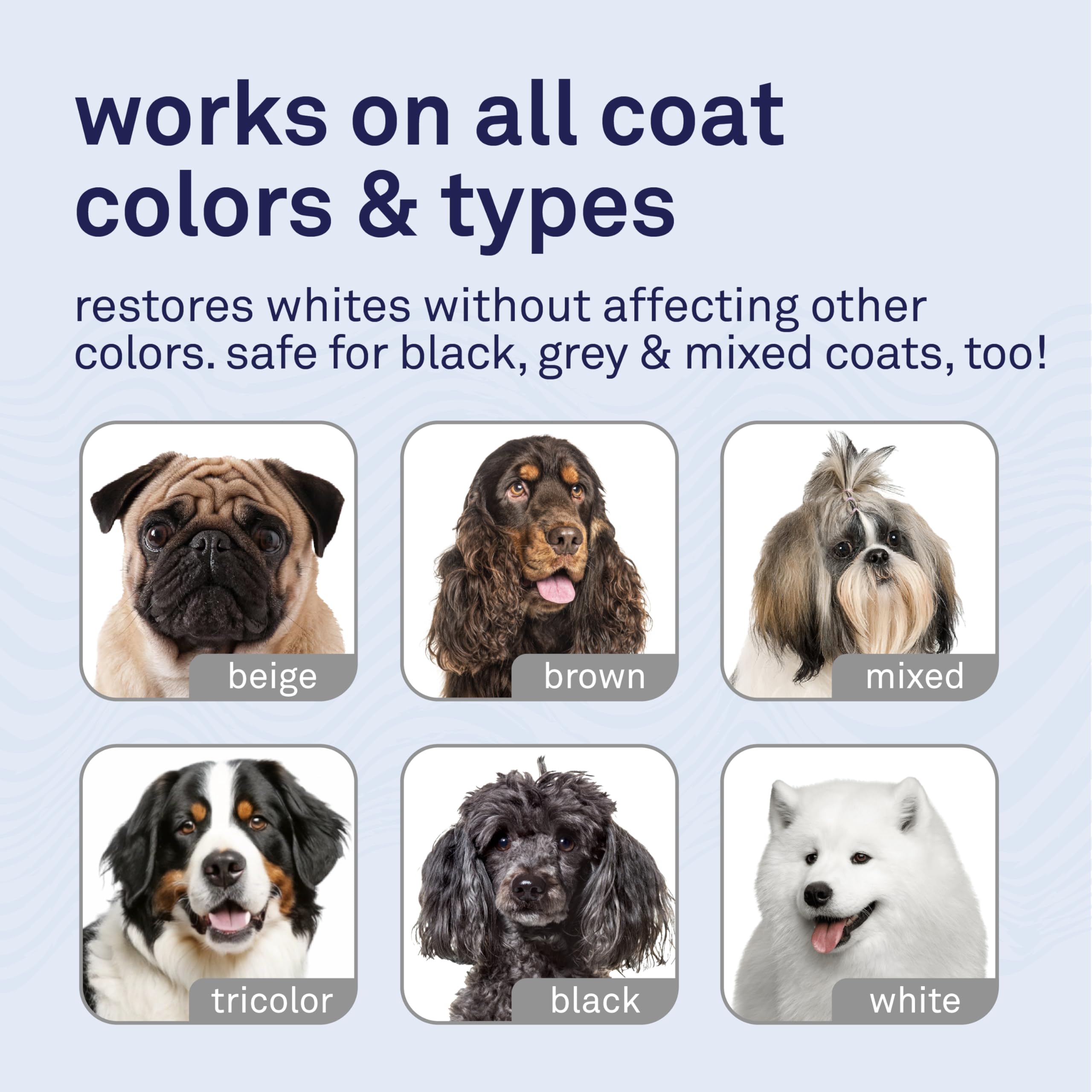 Petpost protein-enriched coat texture image highlights stronger, more resilient fur.