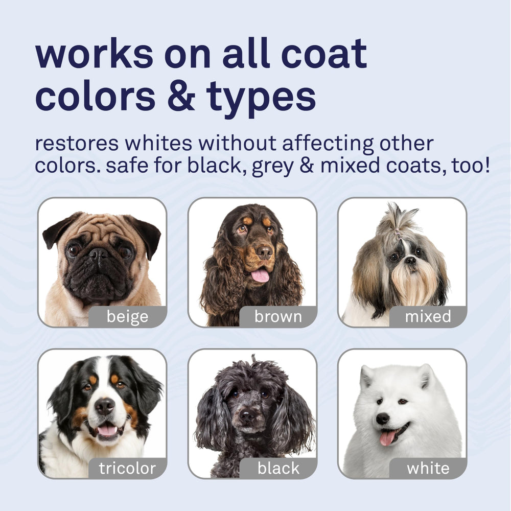 Petpost protein-enriched coat texture image highlights stronger, more resilient fur.