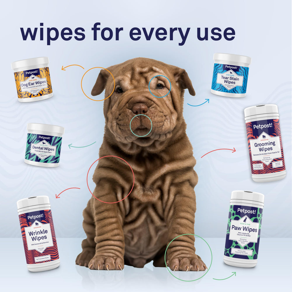Petpost routine wipes complement facial care between grooming sessions