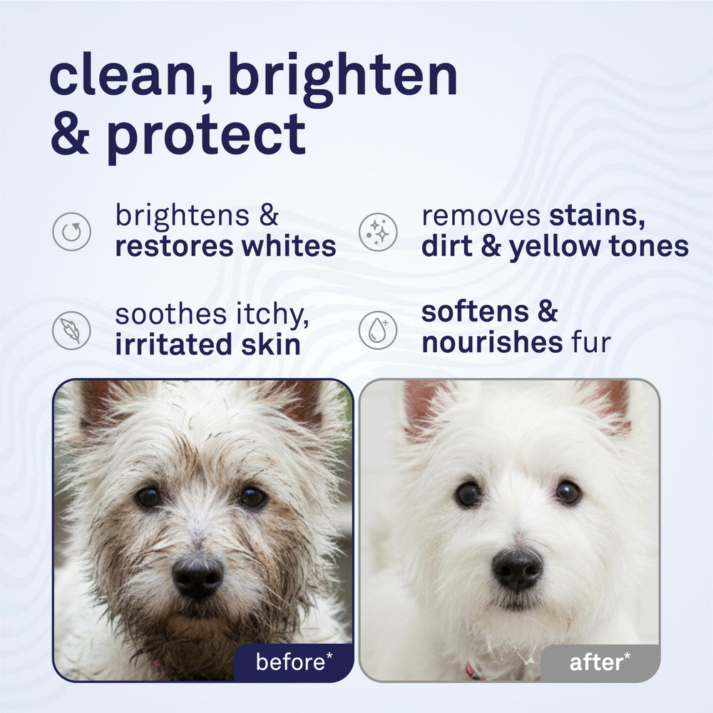 Petpost shampoo foam close-up demonstrates gentle cleansing for sensitive skin and hydrated fur.