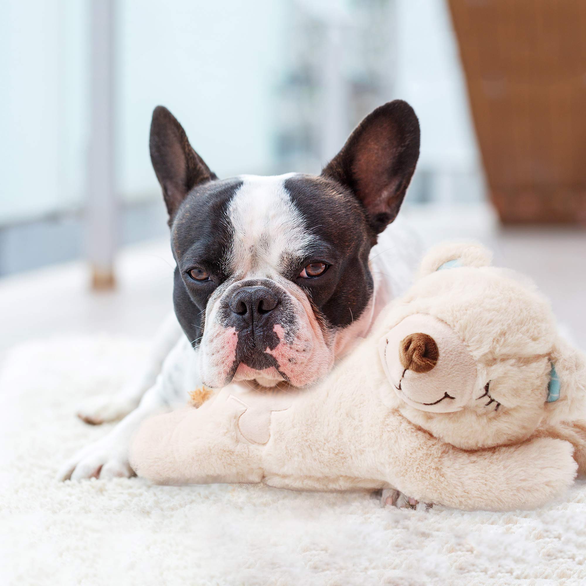 PetPrime easy-clean plush maintains hygiene with removable components
