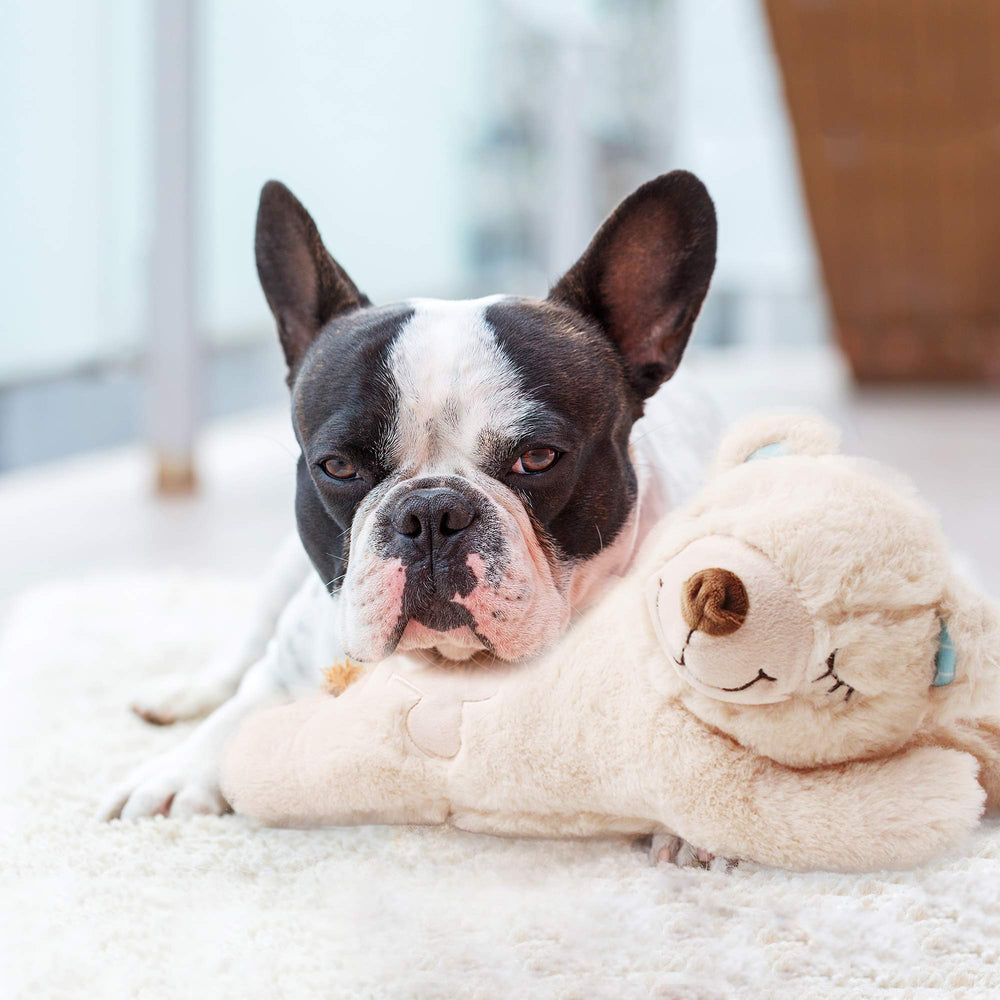 PetPrime easy-clean plush maintains hygiene with removable components