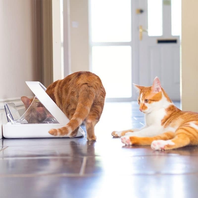 PETQUALITY Show That Love compatible with SureFlap entry devices