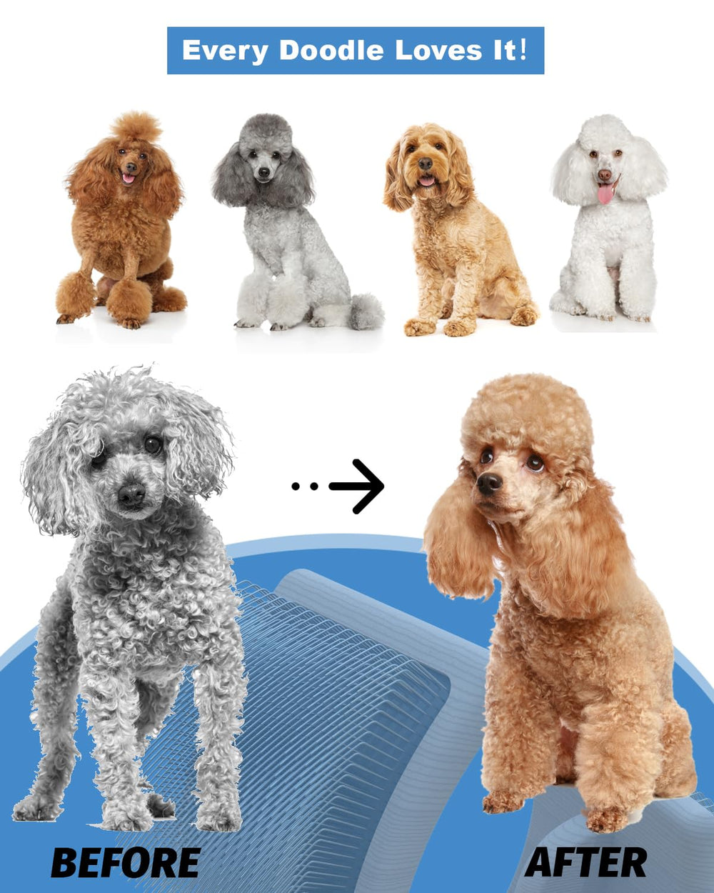 Petqueen home grooming setup featuring the slicker brush