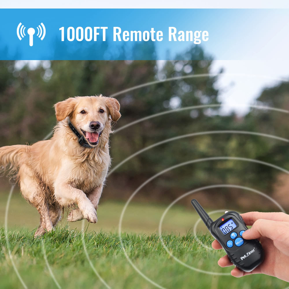 Petrainer E-collar receiver and remote transmitter ready for backyard drills