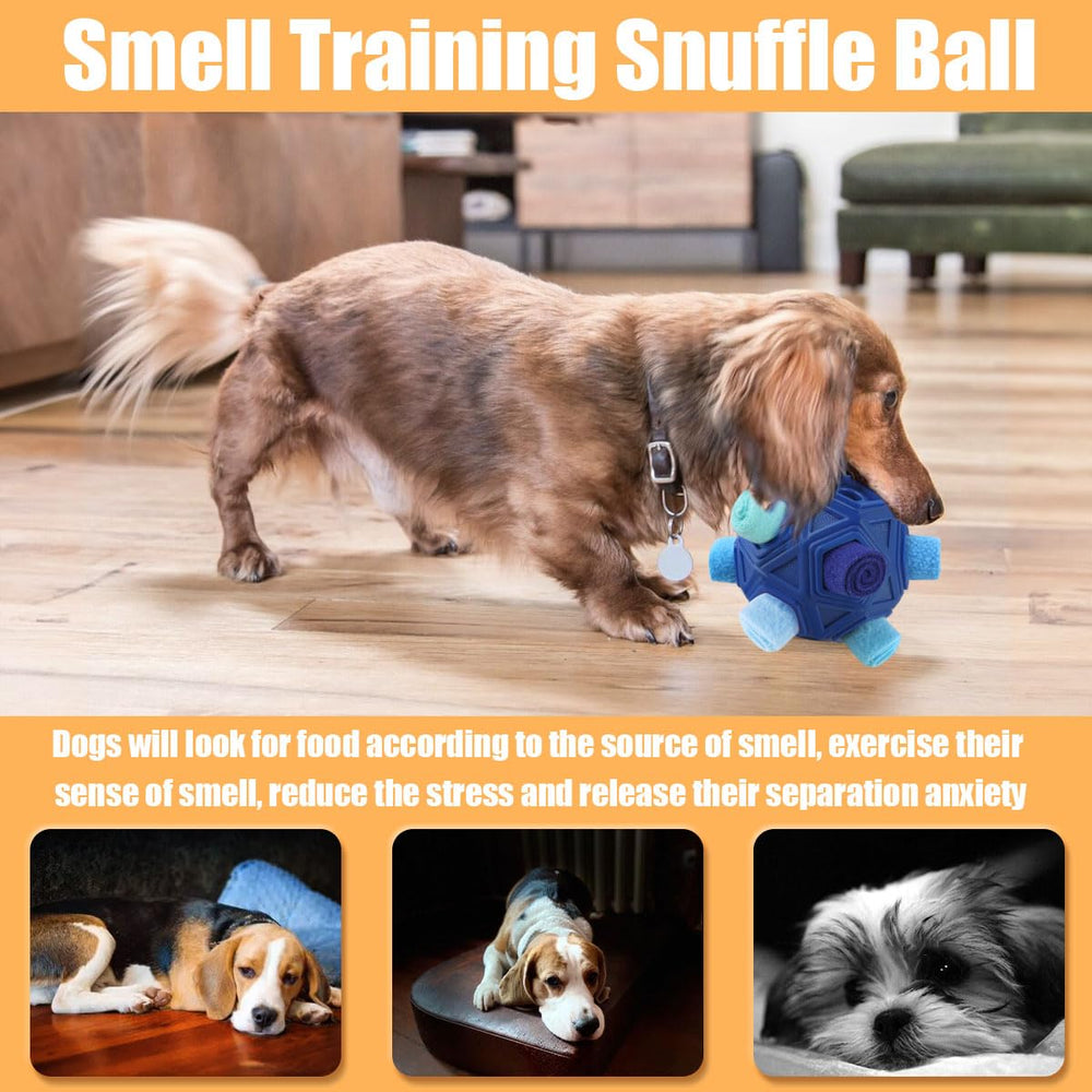 Petration snuffle ball designed for indoor and outdoor play.