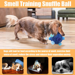 Petration snuffle ball designed for indoor and outdoor play.
