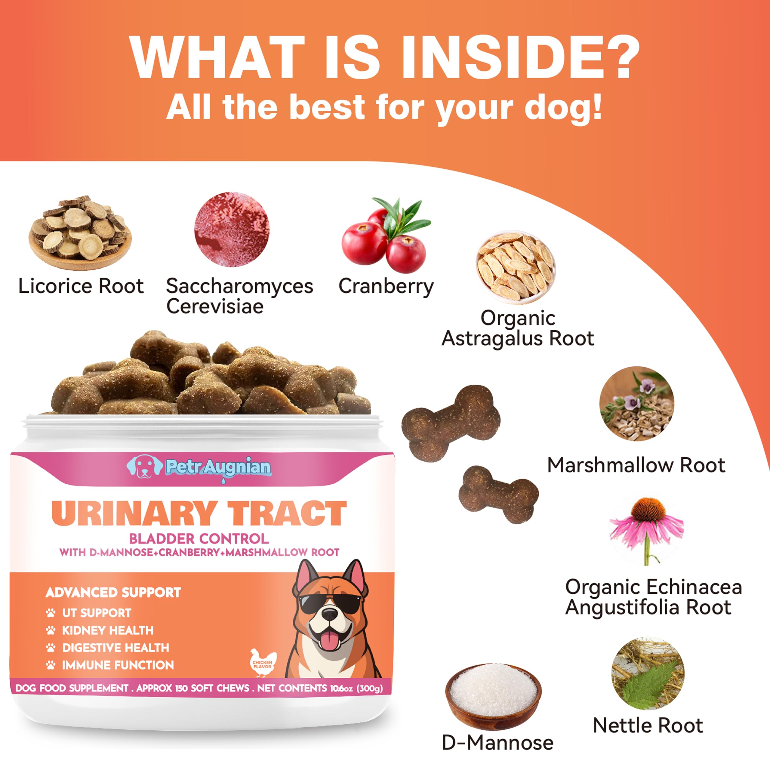 PetrAugnian astragalus root promotes canine immune balance