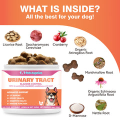 PetrAugnian astragalus root promotes canine immune balance