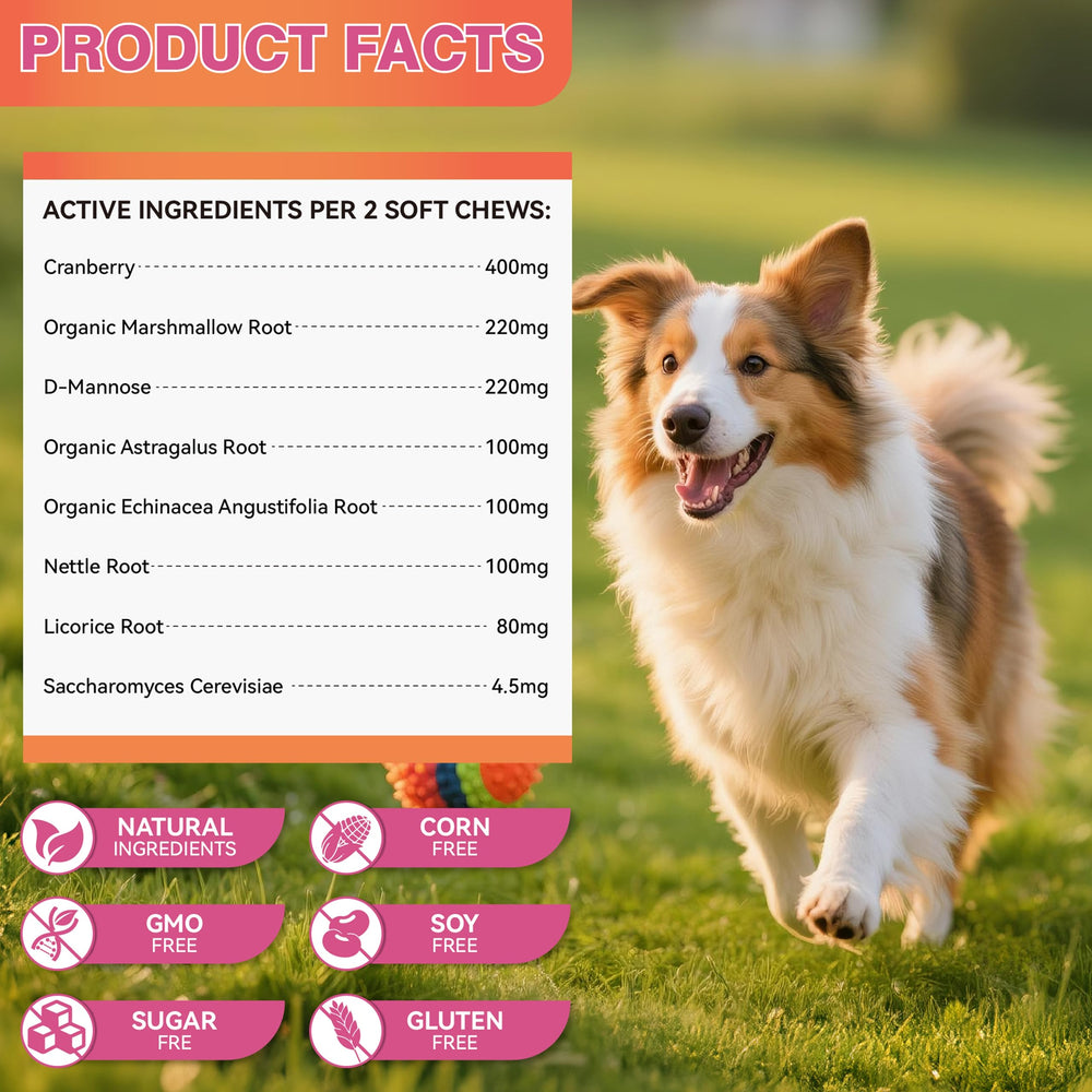 PetrAugnian dog activity after use hints at improved comfort