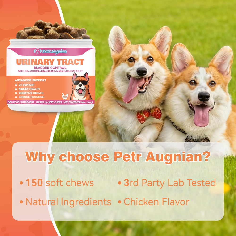 PetrAugnian dog urinary health usage scene shows easy supplementation