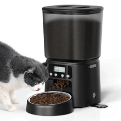 Petrice automatic cat feeder front view showing compact design for busy homes and reliable timing.