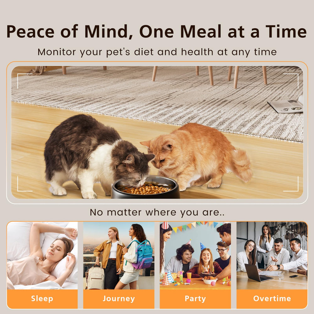 Petrice automatic feeder anti-tip base prevents spills during active meals.