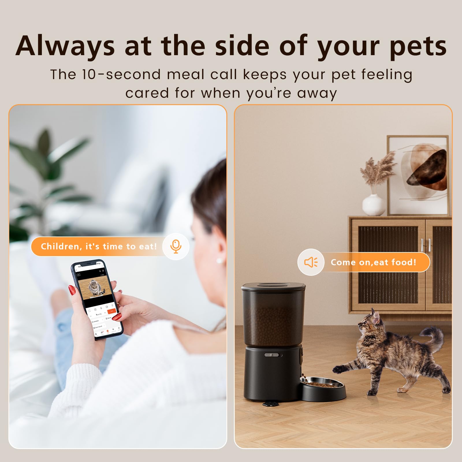 Petrice automatic feeder meal schedule illustrates customizable daily plan.