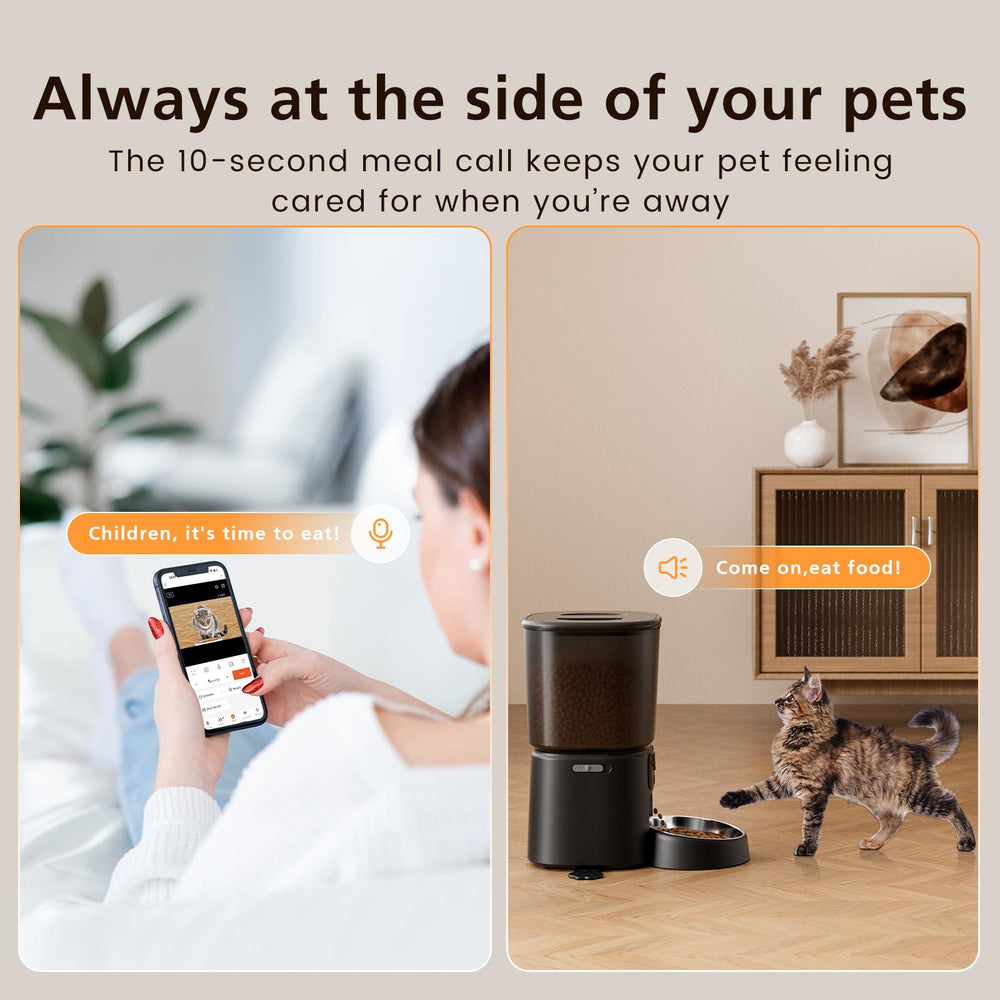 Petrice automatic feeder meal schedule illustrates customizable daily plan.