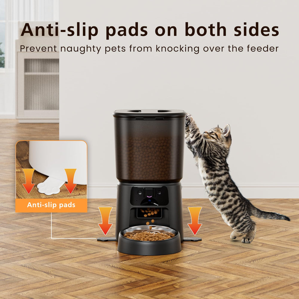 Petrice automatic feeder night vision captures pet activity in low light.