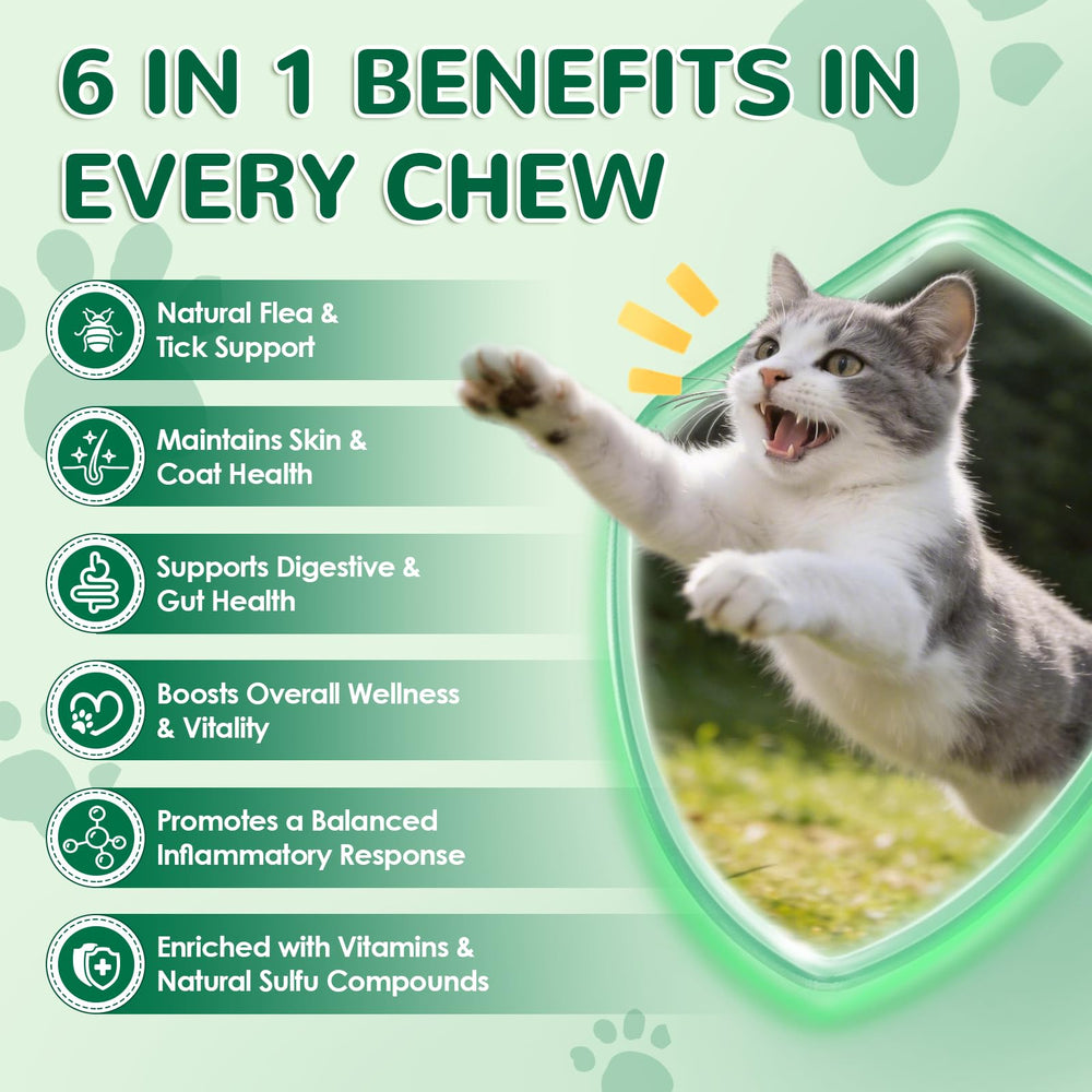 Petrivium cat-digestive-health-inulin-prebiotics, supports balanced digestion.