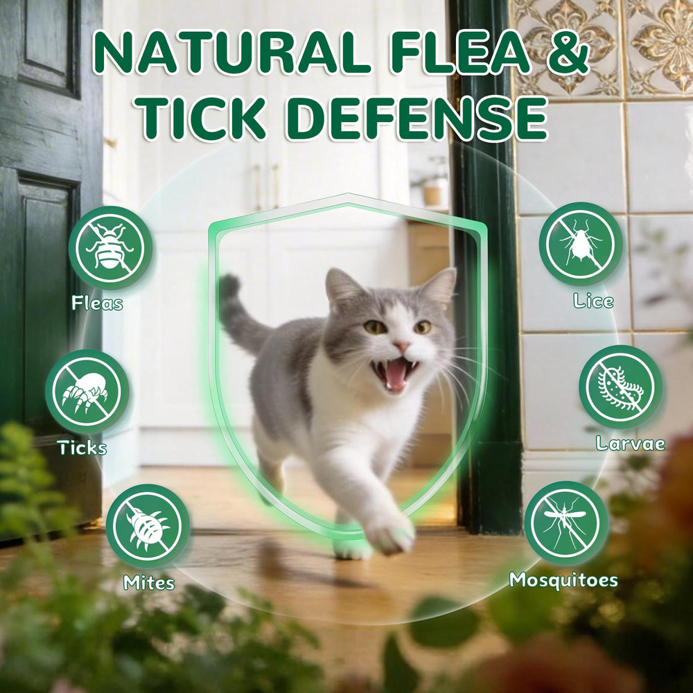 Petrivium cat-dual-flavor-krill-chicken, irresistible daily treat.