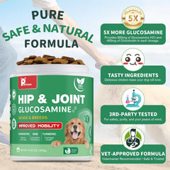 Petrivium chondroitin-msm-dogs-chews label emphasizing joint nourishment