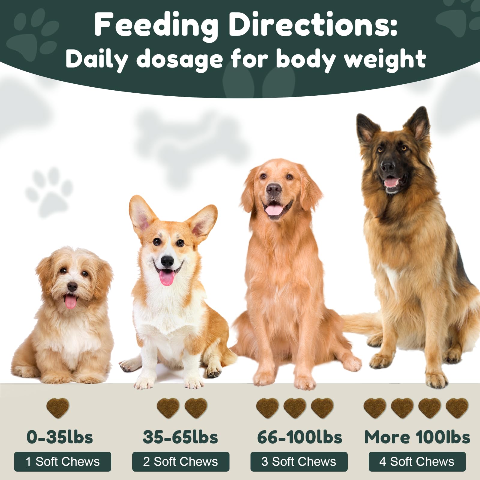 Petrivium dog digestive support probiotic blend image.