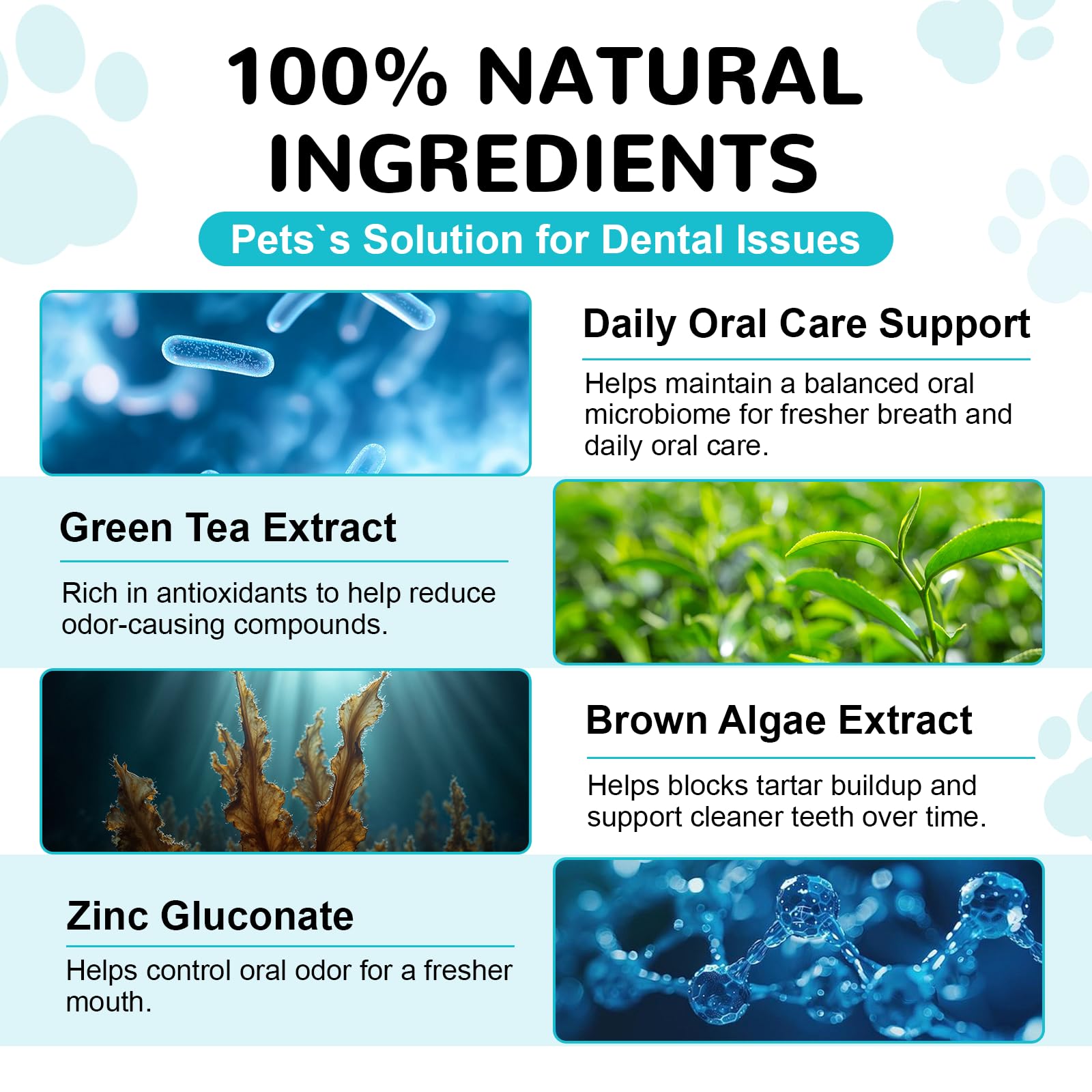 Petrivium mint breath freshening powder for dogs