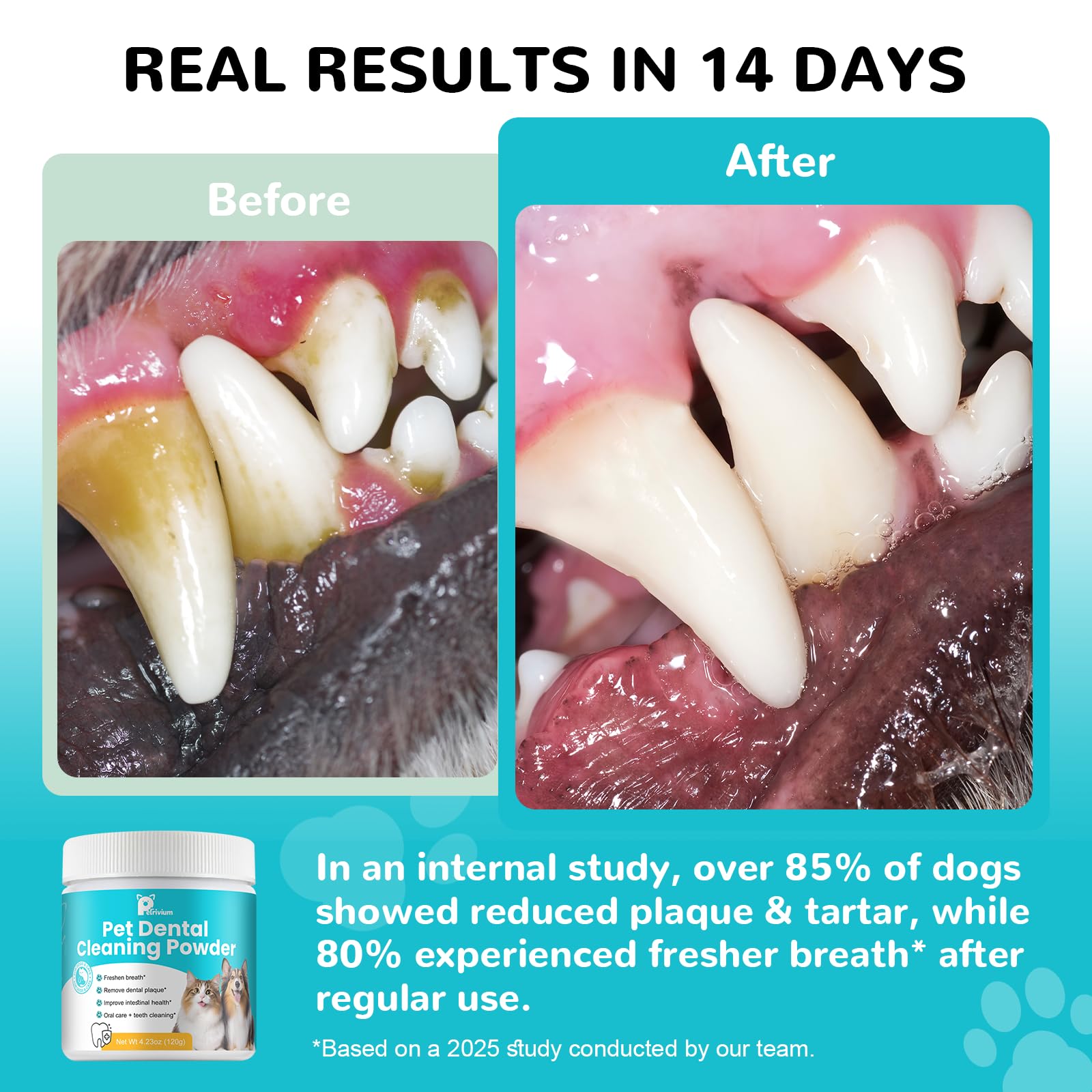 Petrivium dog brushing scene to boost routine effectiveness