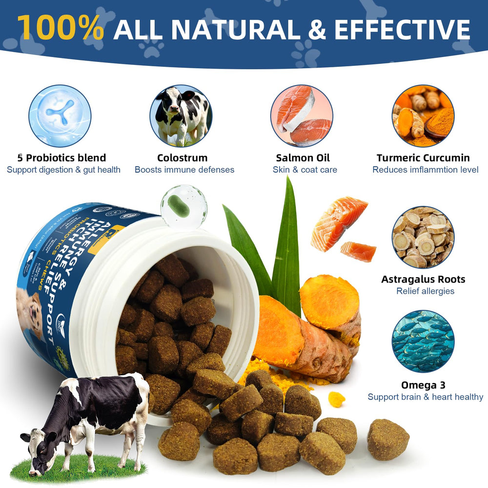 Petrivium Dogs Immunity Probiotics Pack highlights gut support for skin and health.