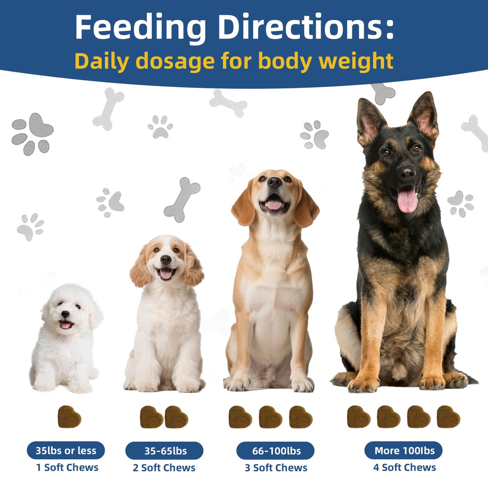 Petrivium Dogs Probiotics 5-Strain close-up underscores digestive balance.