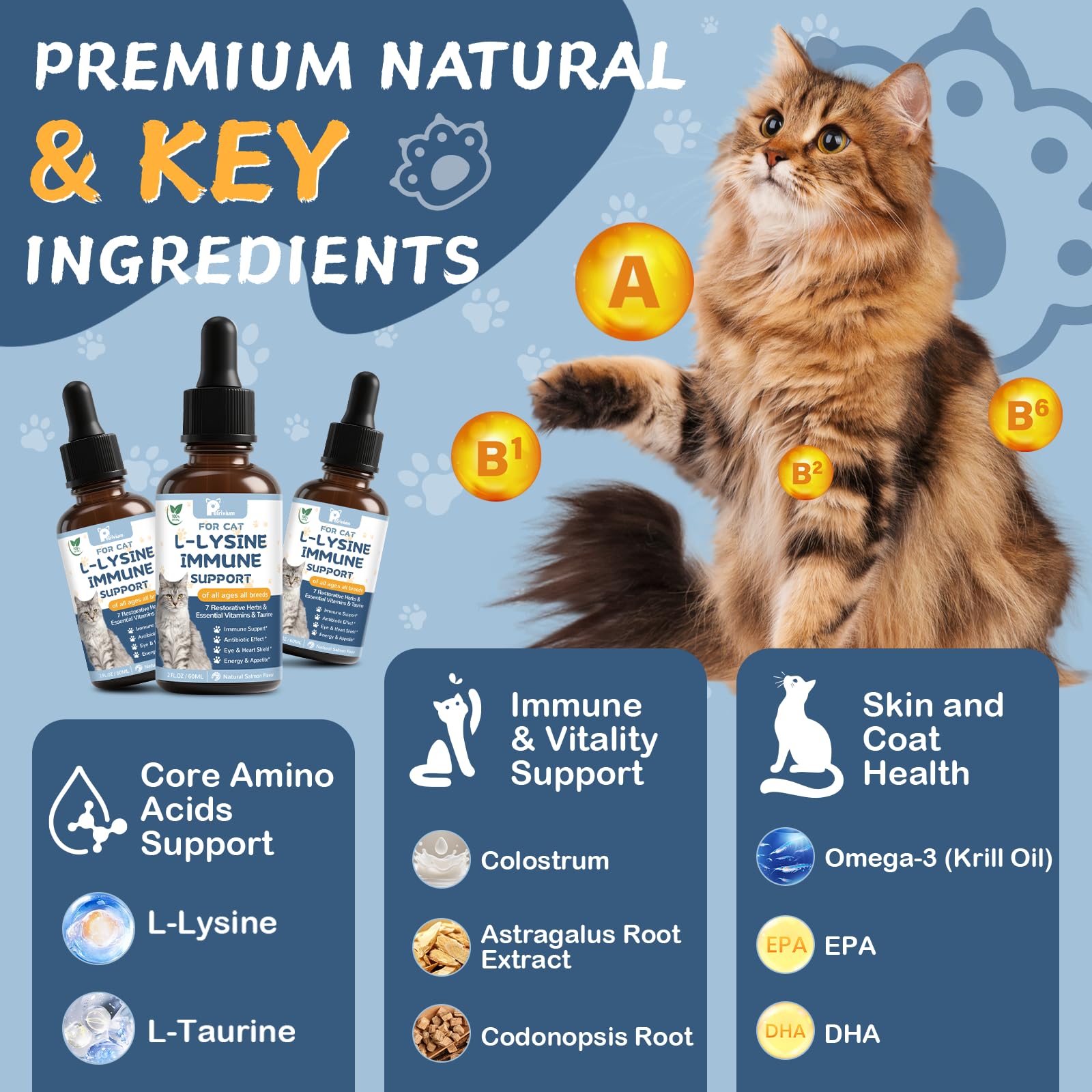 Petrivium Lysine Drops in cat food bowl for seamless mealtime supplementation.