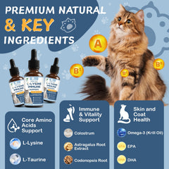 Petrivium Lysine Drops in cat food bowl for seamless mealtime supplementation.