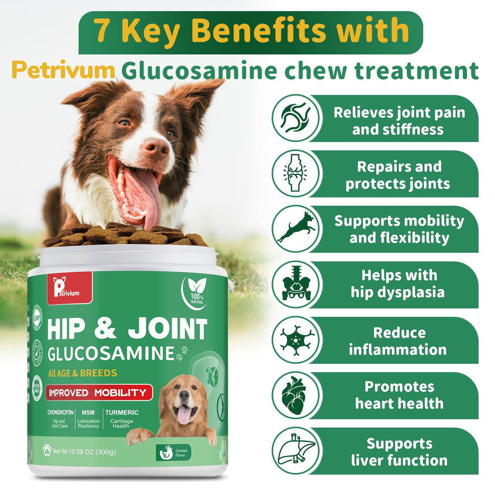 Petrivium glucosamine-dogs-chews closeup highlighting cartilage support