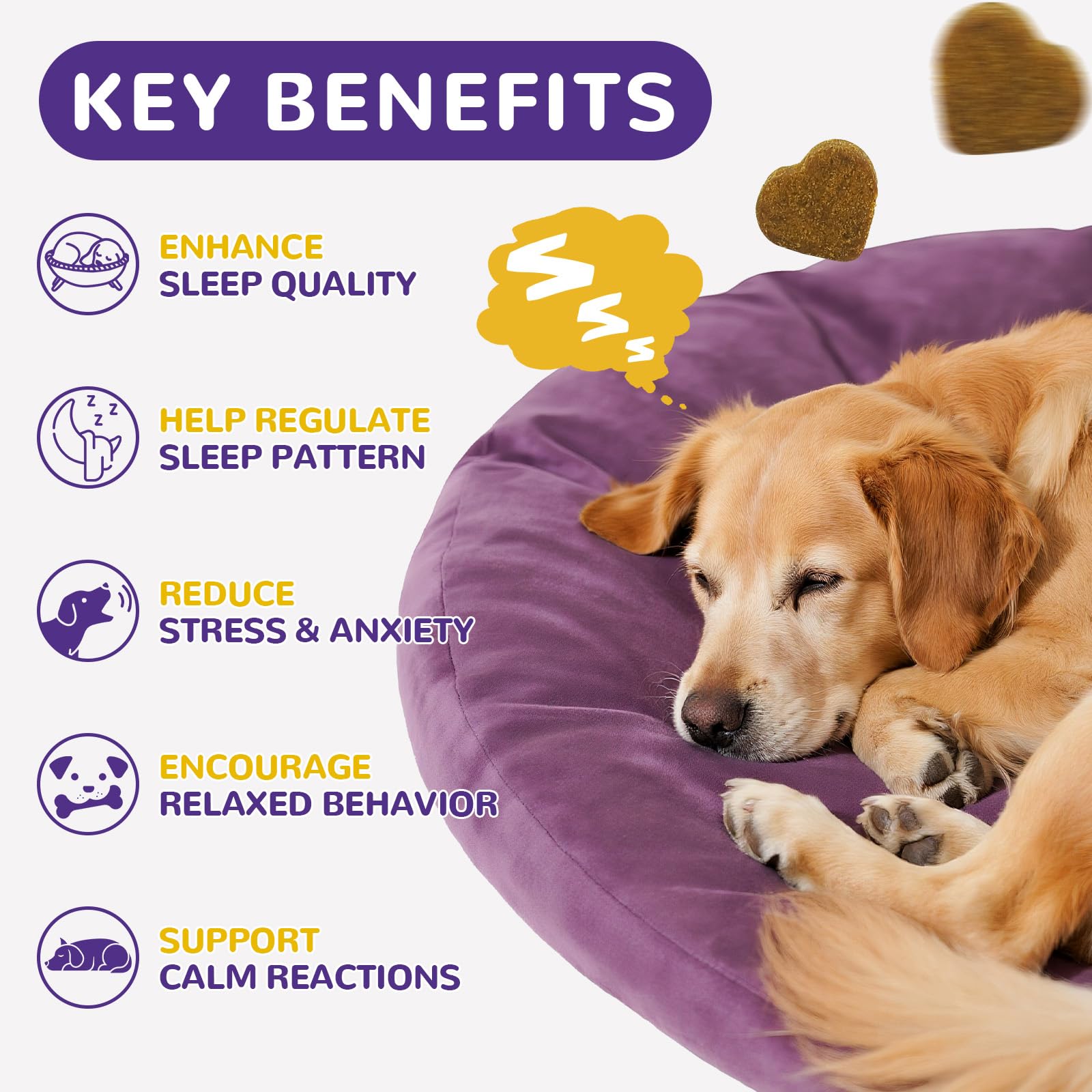 Petrivium Melatonin Dog Chews bottle label highlights 3 mg per chew and natural botanicals.