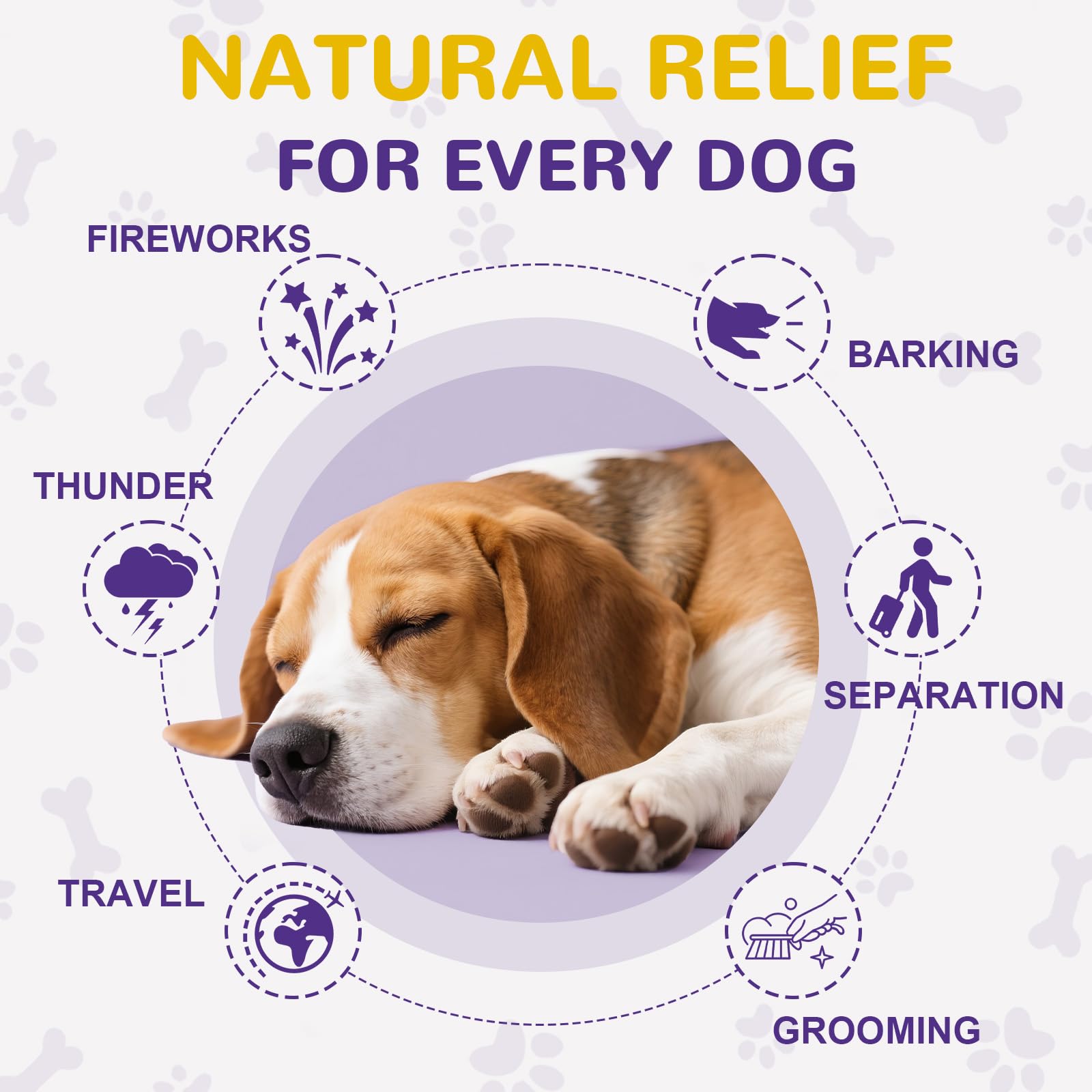 Petrivium Melatonin Dog Chews served on hand showing bite-sized calming bites.
