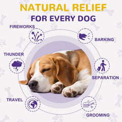 Petrivium Melatonin Dog Chews served on hand showing bite-sized calming bites.