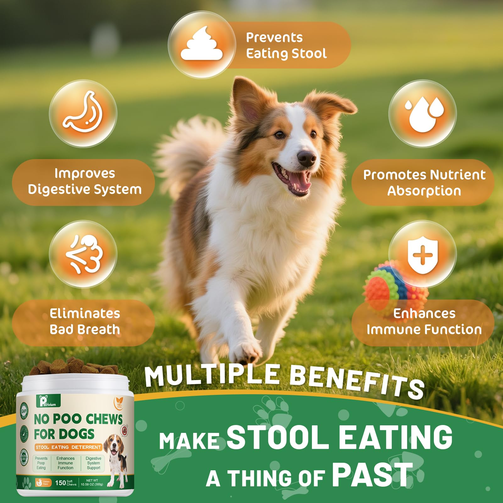 Petrivium No Poo Chews label close-up, highlighting vet-formulated ingredients for pets.