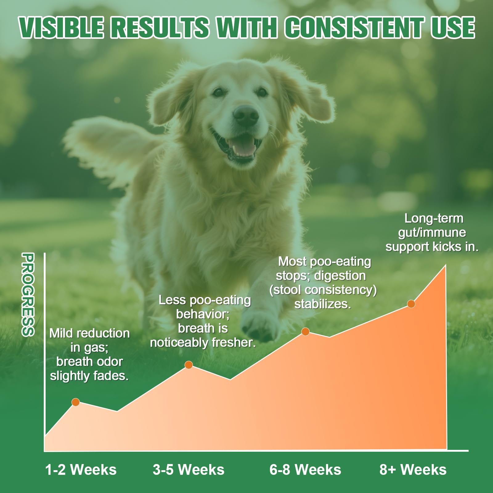 Petrivium No Poo Chews ingredients visual highlighting probiotics and digestive enzymes.