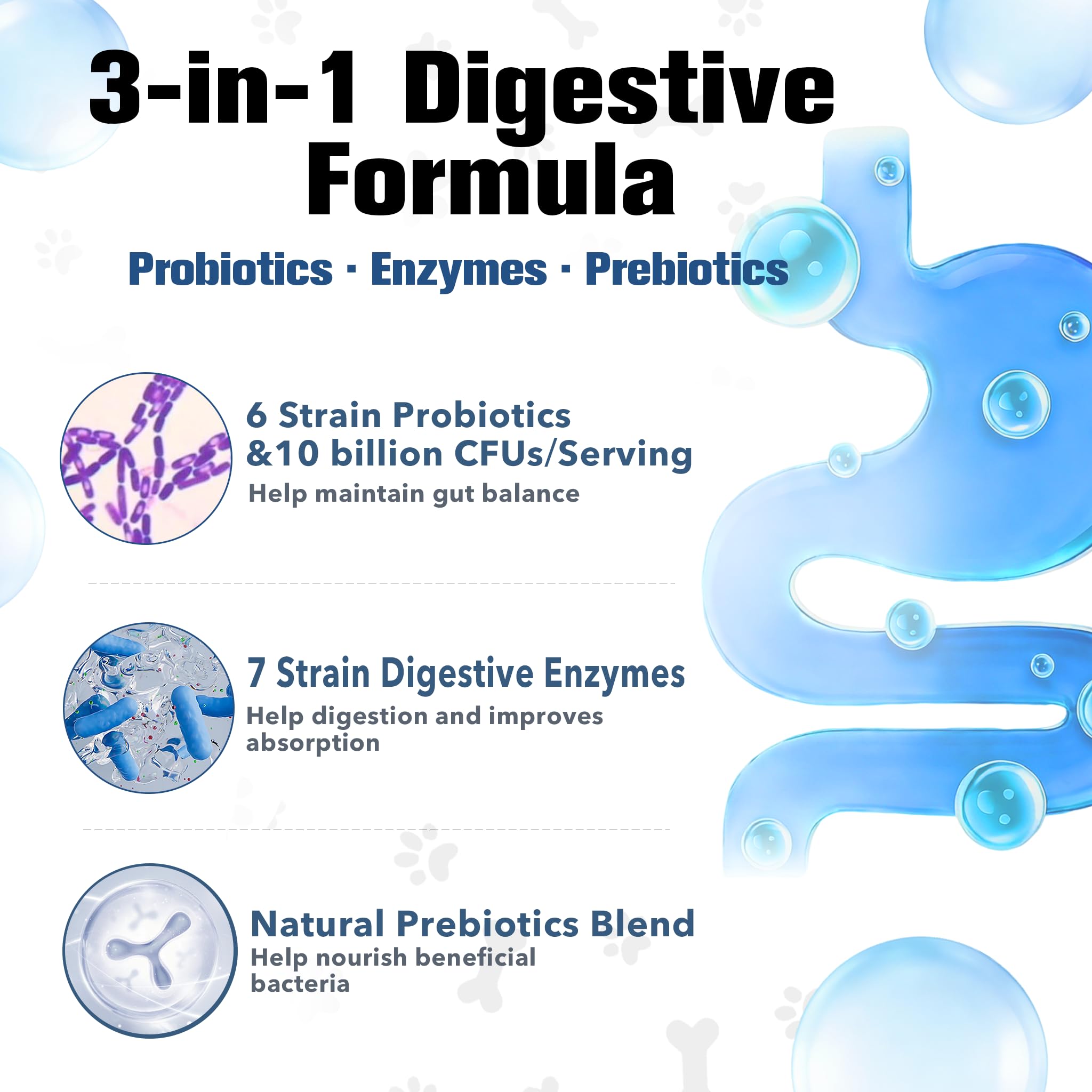 Petrivium Probiotics for Dogs enzyme blend image highlighting digestive support
