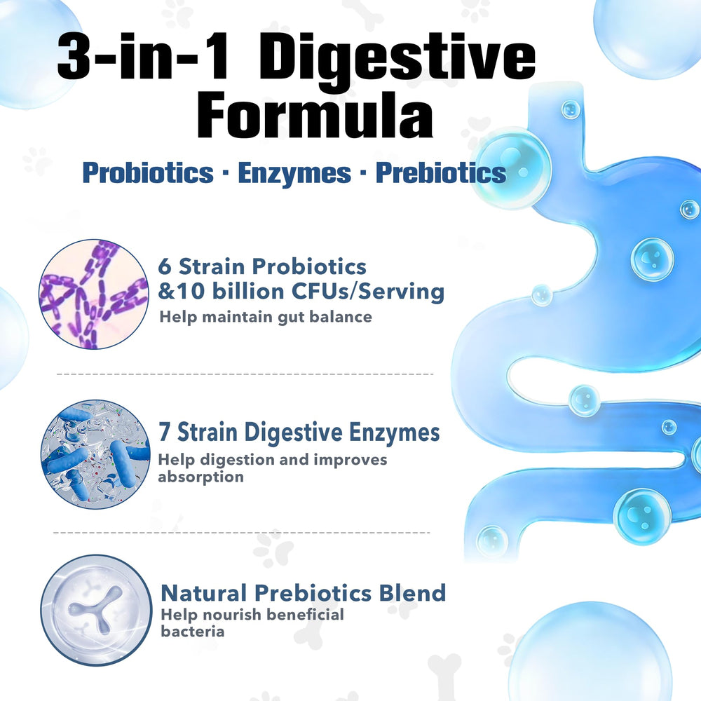 Petrivium Probiotics for Dogs enzyme blend image highlighting digestive support