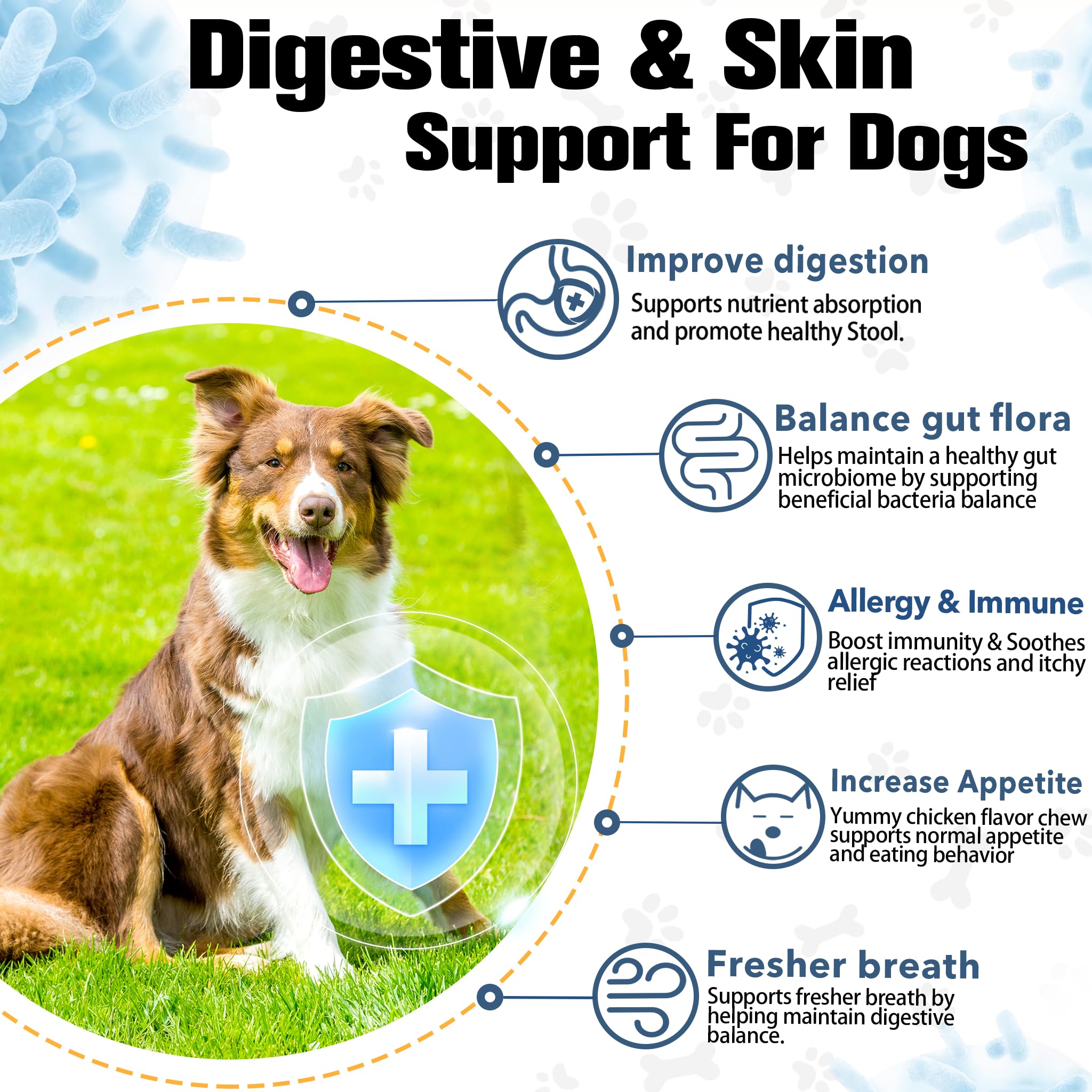 Petrivium Probiotics for Dogs prebiotic fiber feature supports gut flora