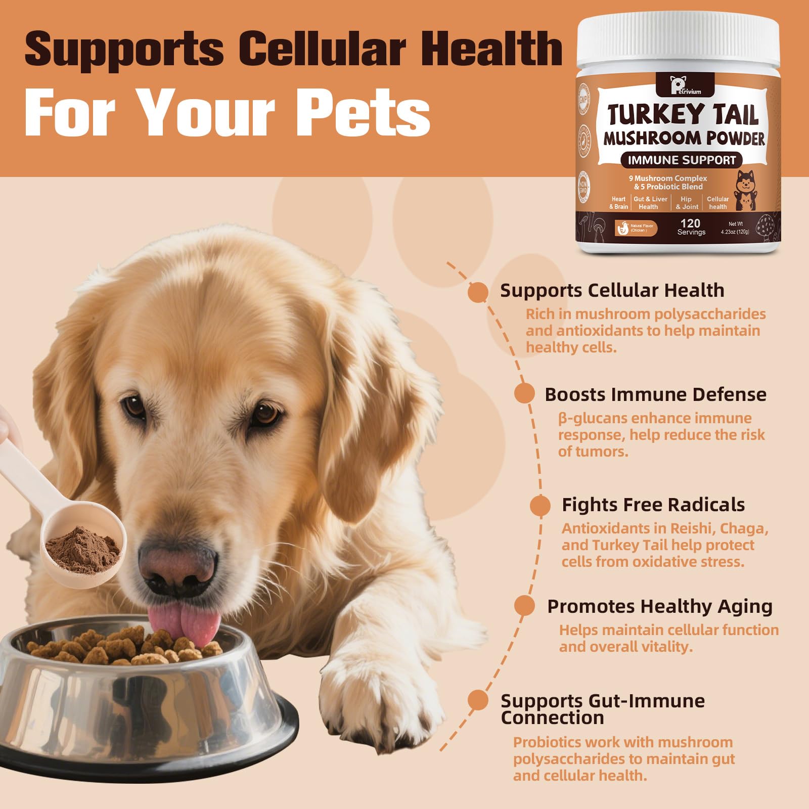 Petrivium senior dog enjoying powder for energy and focus