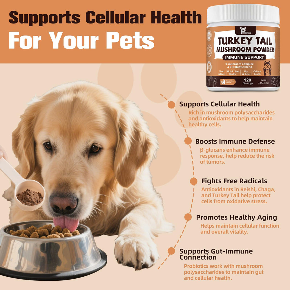 Petrivium senior dog enjoying powder for energy and focus