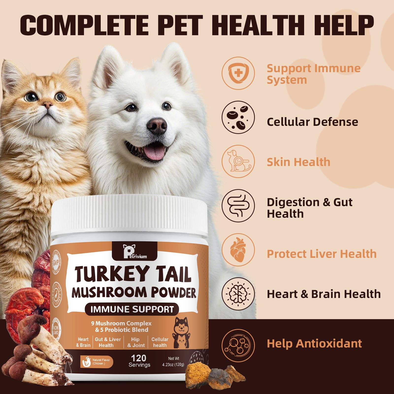 Petrivium Turkey Tail and mushrooms close-up highlighting antioxidants