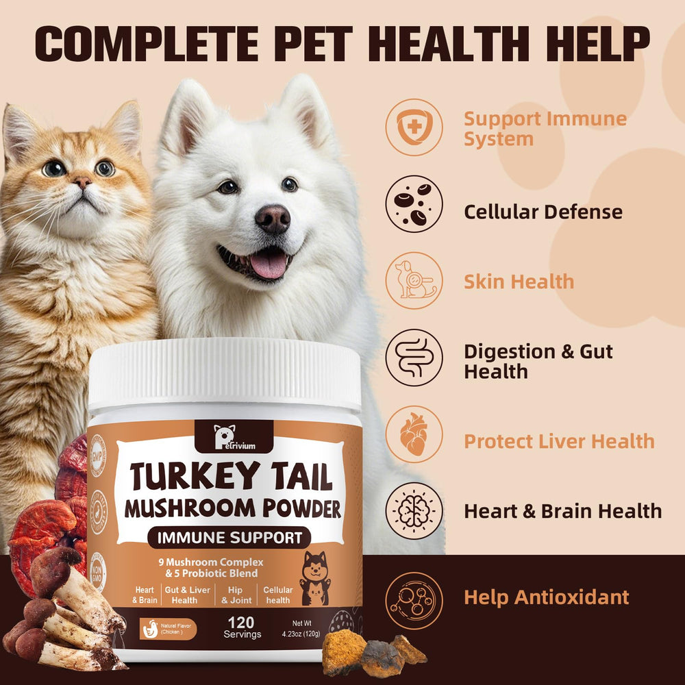 Petrivium Turkey Tail and mushrooms close-up highlighting antioxidants