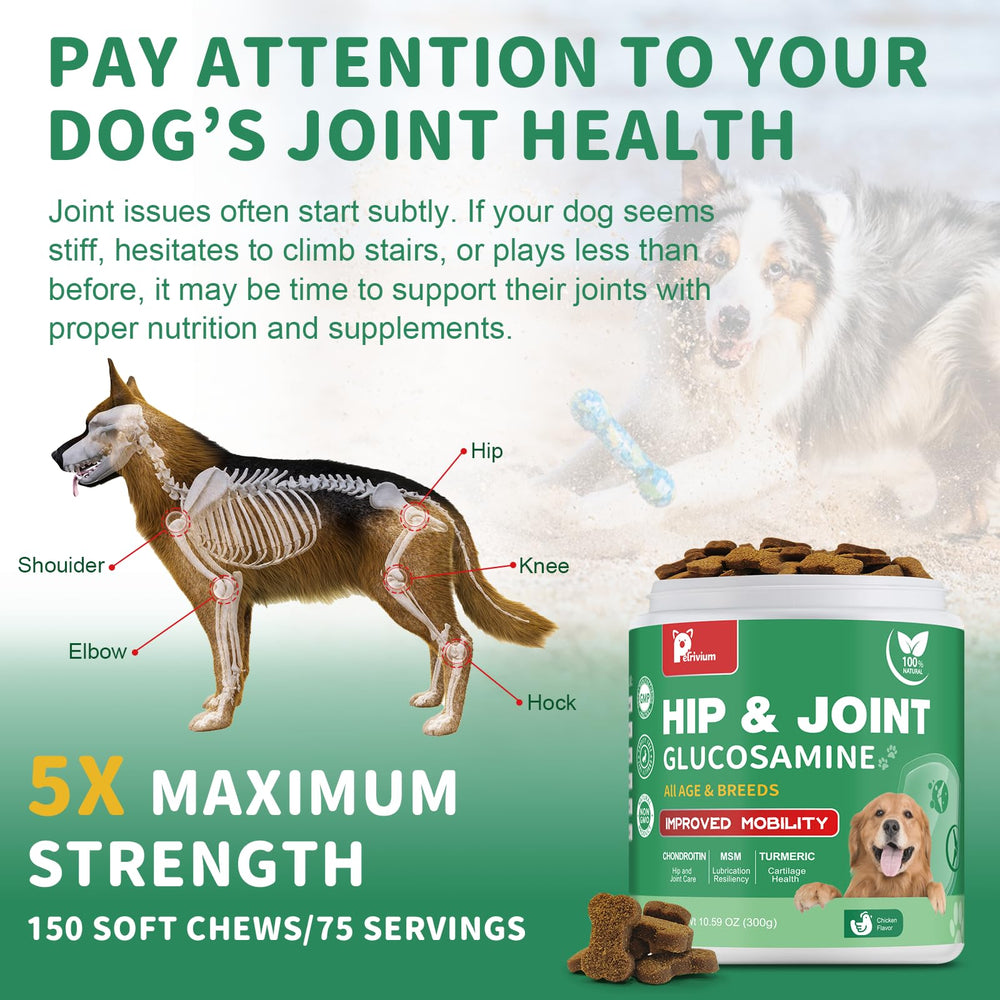 Petrivium turmeric-dogs-chews pack highlighting natural anti-inflammatory potential