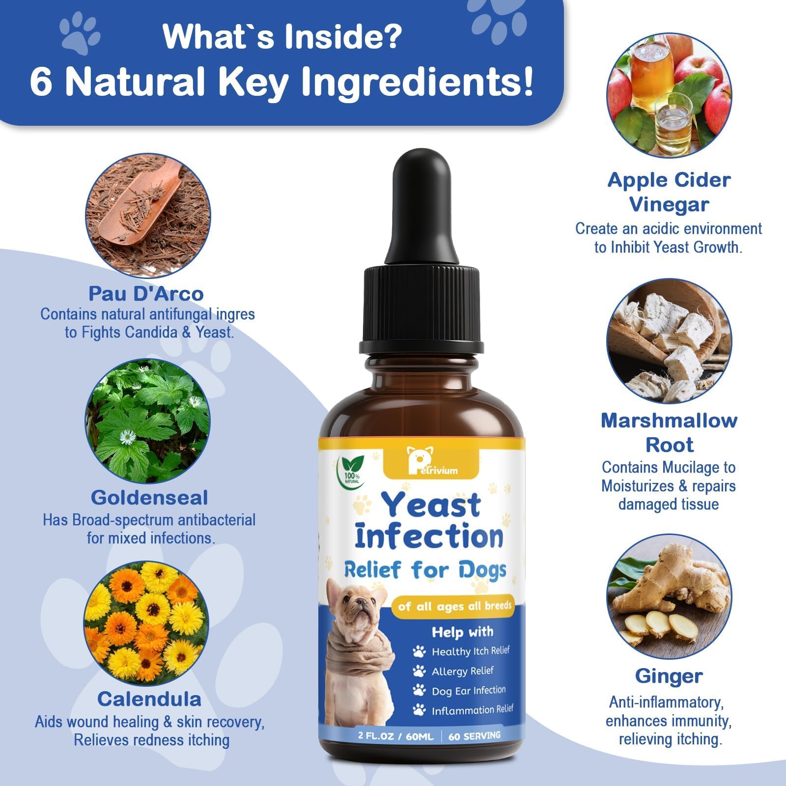 Petrivium Yeast Infection Drops entering dog's mouth, highlighting easy administration.