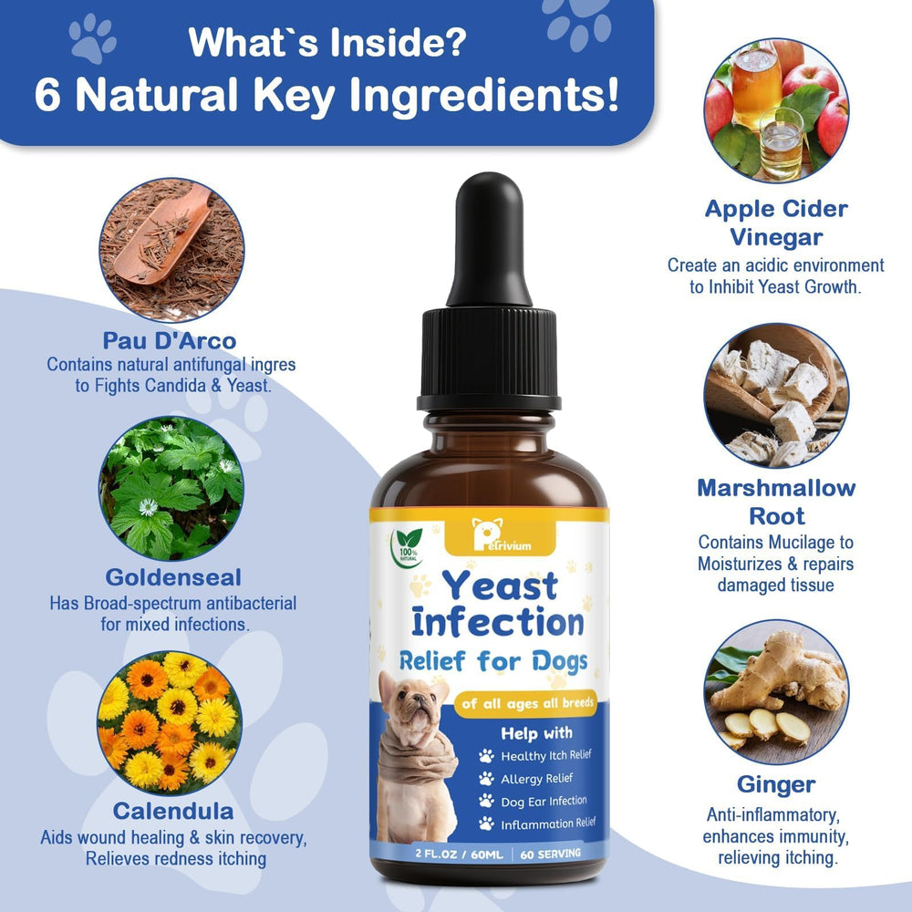 Petrivium Yeast Infection Drops entering dog's mouth, highlighting easy administration.