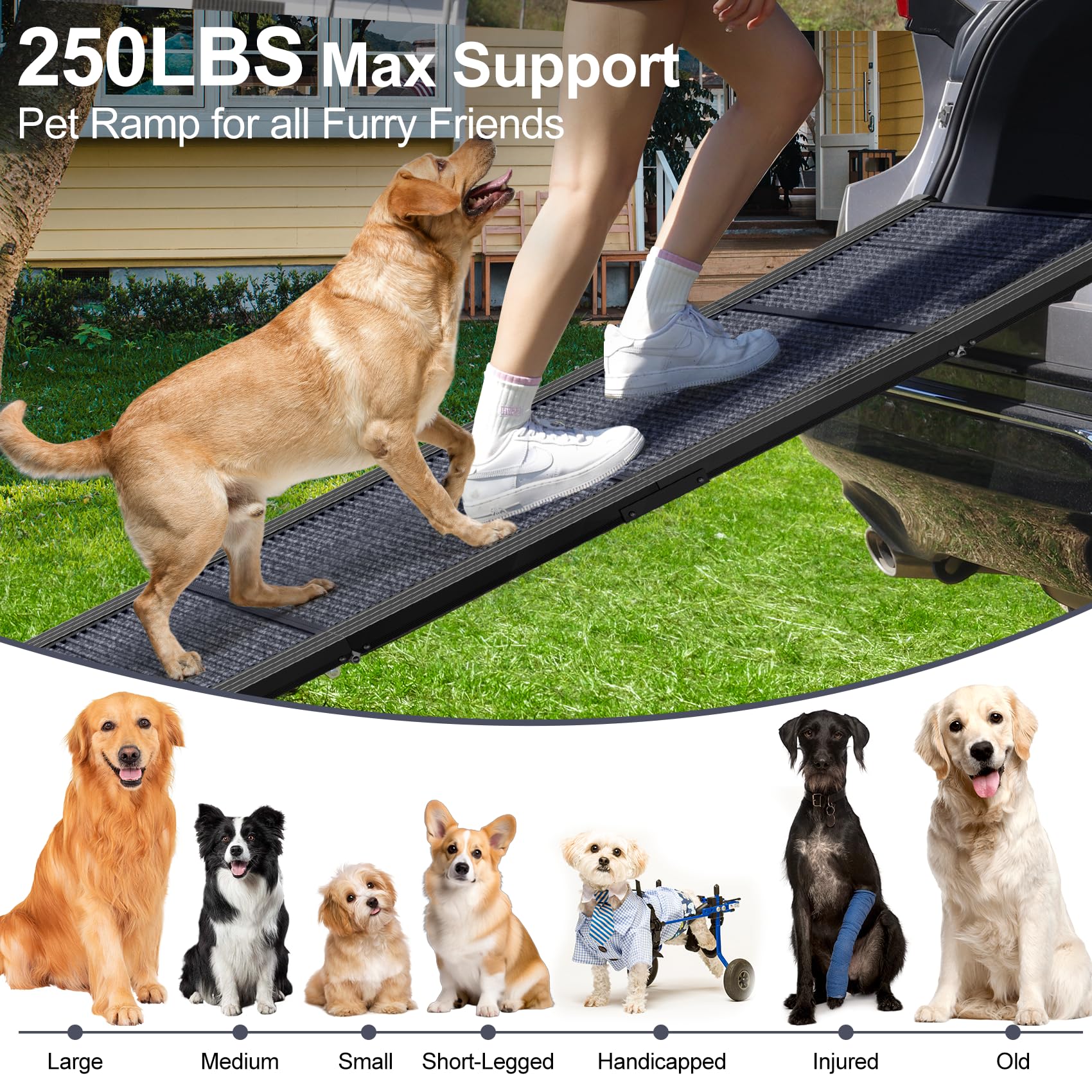 PetRuna dog ramp with non-slip surface offers secure traction in any weather.