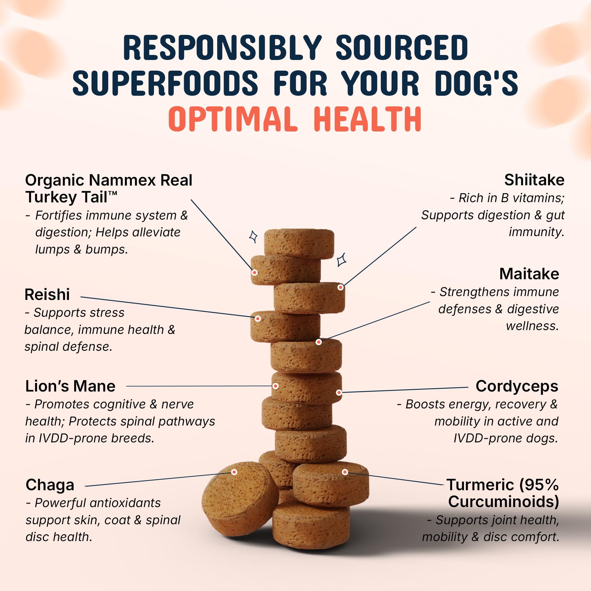 Pets Are Kids Too Digestive Balance chews closeup suggesting gut comfort