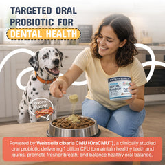 Pets Are Kids Too dog dental powder on meals for daily care