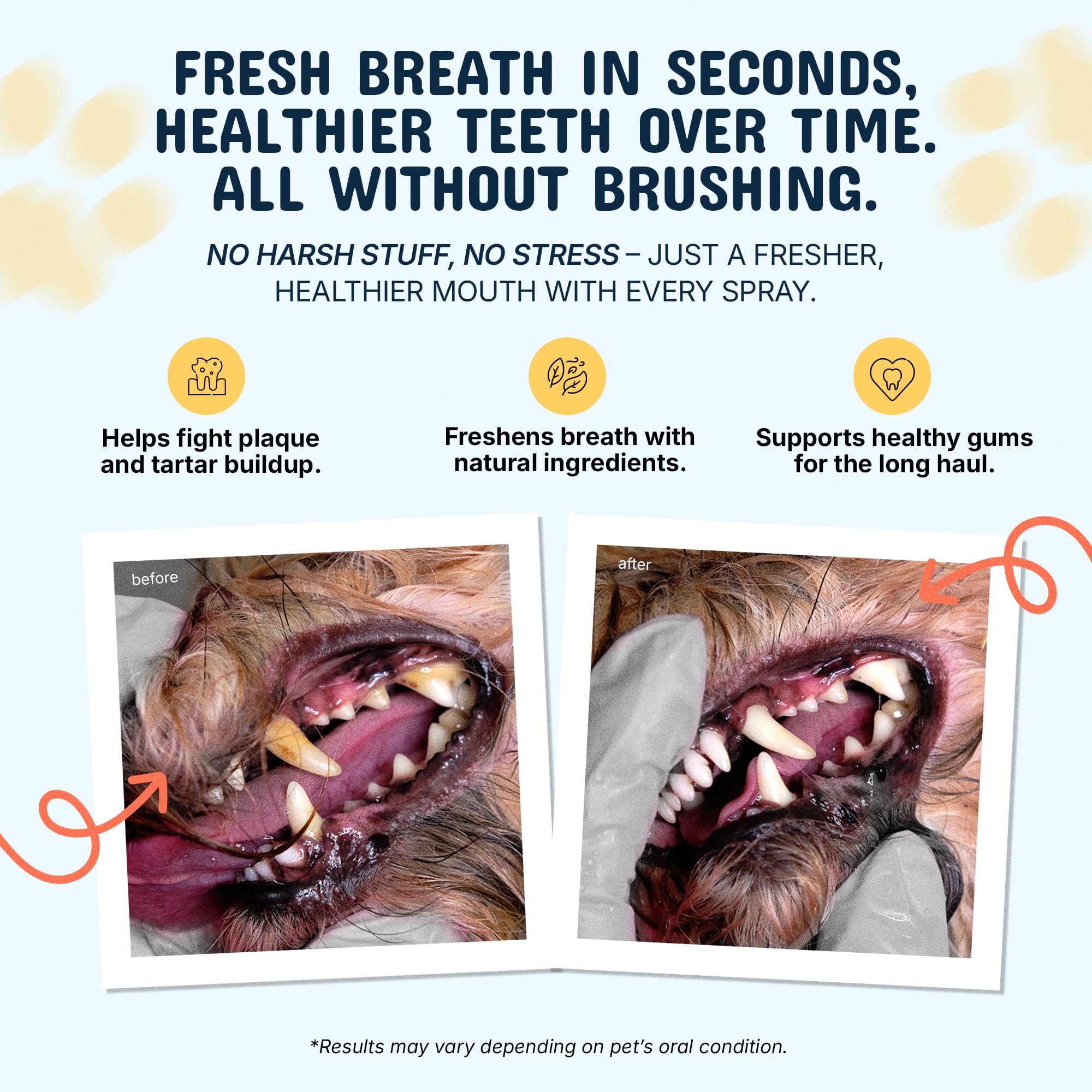Pets Are Kids Too dog mouth spray usage demonstration for daily care